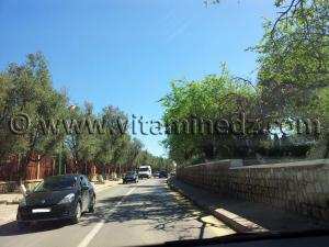 Betonnage de Tlemcen  Entrée ville par Mansourah, Ancien camping et pseudo pepiniere Lachachi