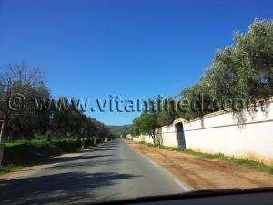 Commune de Mansourah - Tlemcen  Route de Sabra, Beni Mester