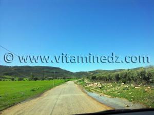 Mansourah Commune de Tlemcen