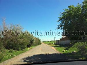 Mansourah Commune de Tlemcen