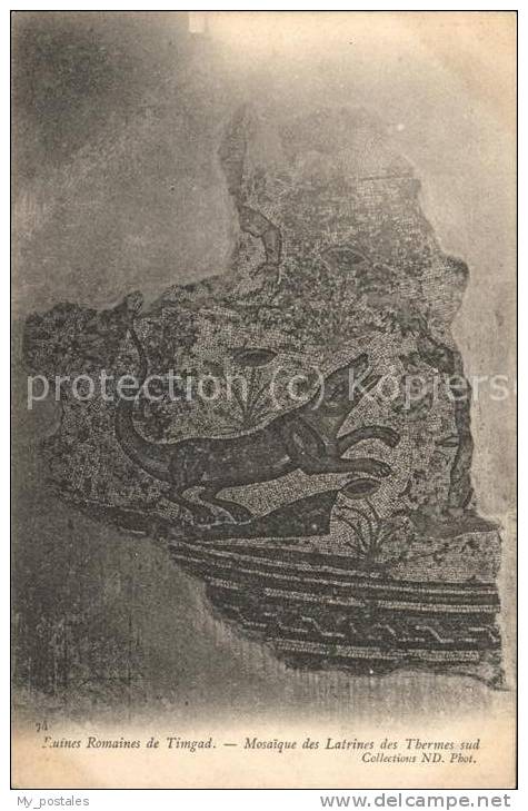 dg21279 Timgad Ruines Romaines Mosaique des Latrines des Thermes sud Kat. Algeri