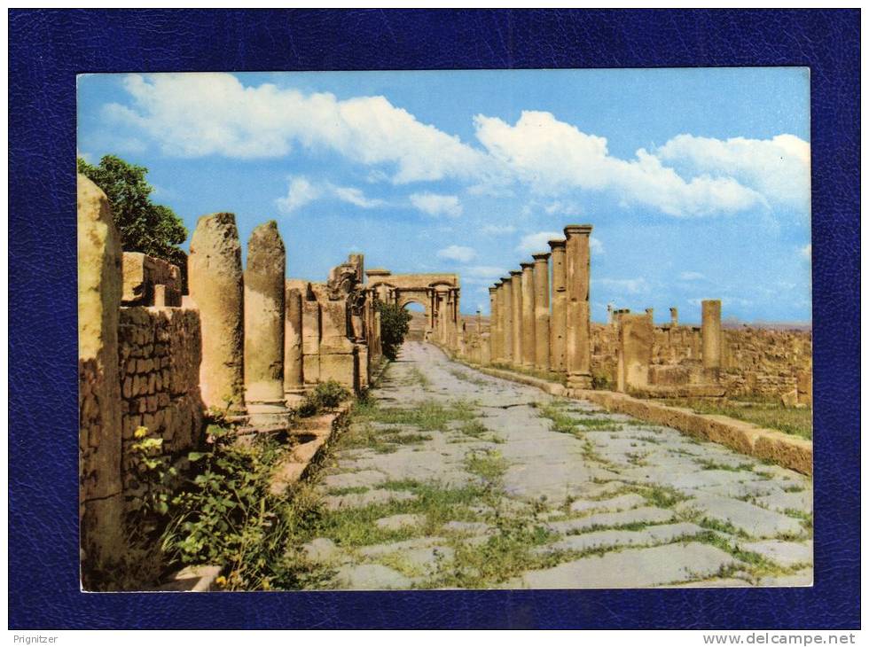 ALGERIE / ALGERIEN   Timgad Duci Magnus Maximum