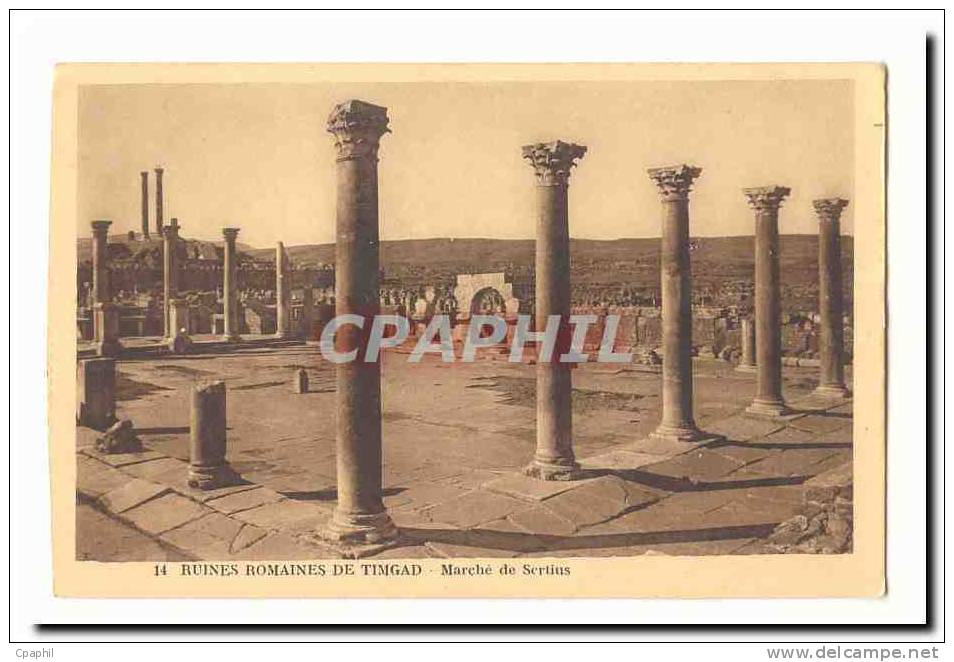 Algerie Timgad CPA Ruines romaines de Timgad Marche de Sertius