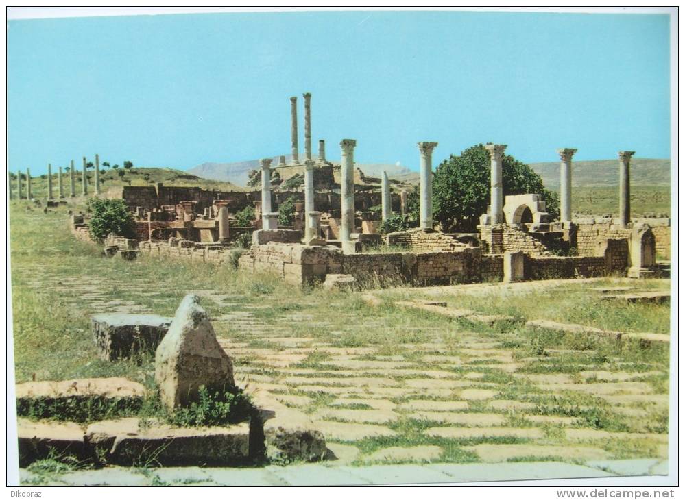 Algeria / Timgad - Le Marche de Circis / Circuis Marketplace