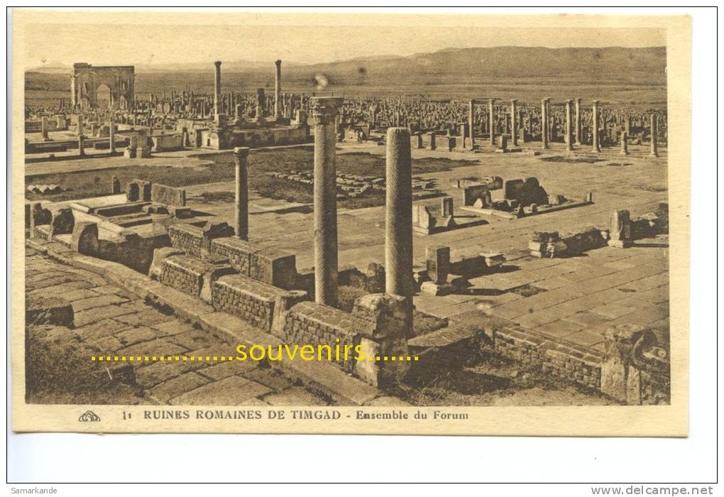 CPA   ALGERIE  TIMGAD  Ensemble du Forum - ** prix nets **