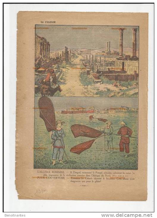 3198/ illustration, (?) Timgad Algérie Romaine, Chasse à la bécassine en Chine, 1930