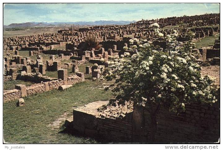 pw37262 Timgad Les ruines vue generale Kat. Algerien