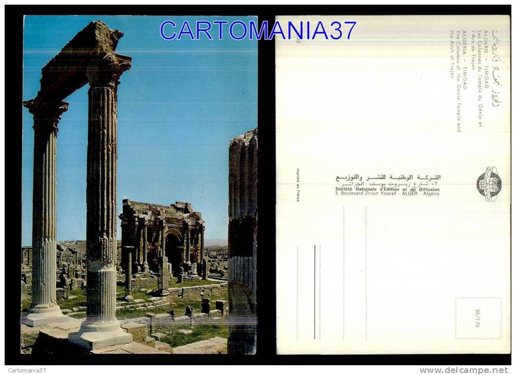 afrique-1331      algerie timgad colonnes temple