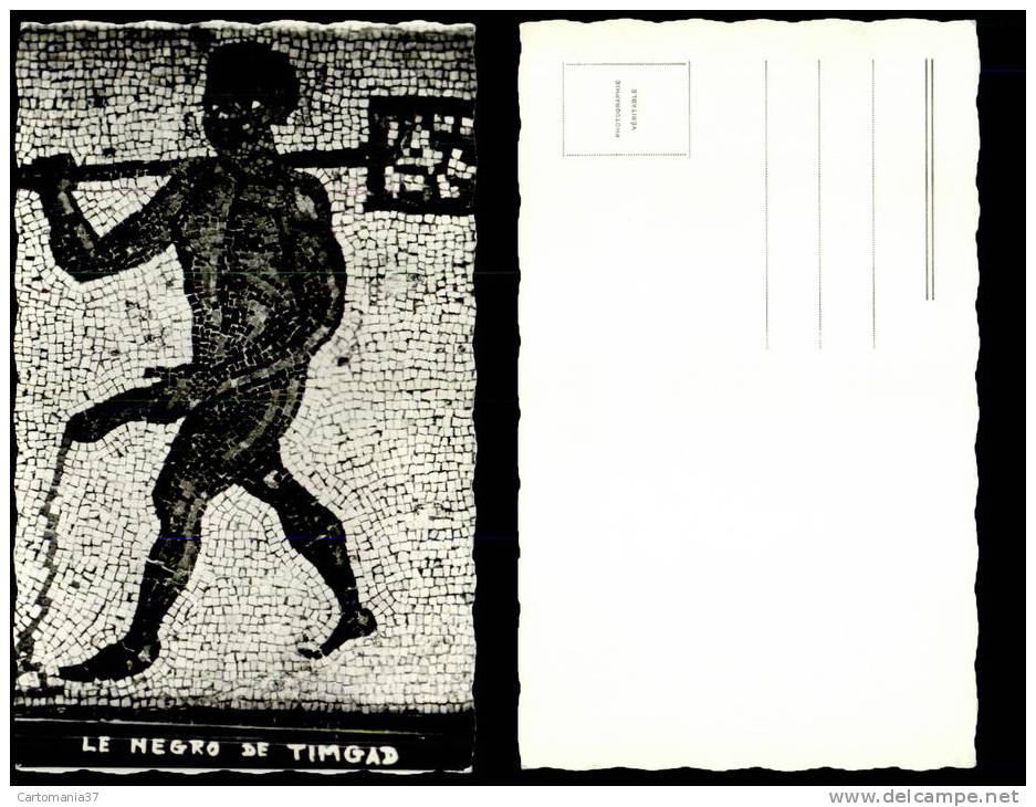 musée-55  le negro de timgad