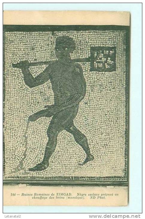 Timgad / RUINES ROMAINES