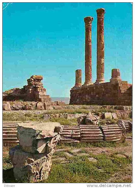 Algérie - Timgad - Les Colonnes du Capitole - Voir Scans Recto-Verso