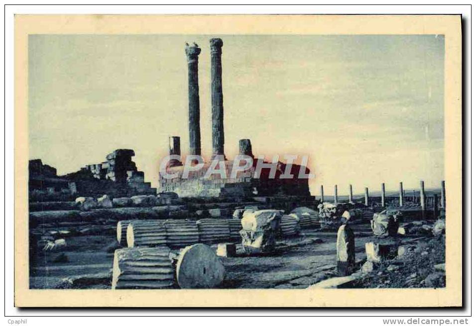 CPA Timgad Temple de Jupiter