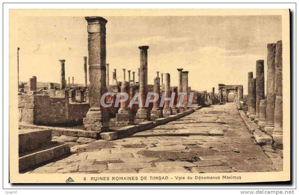 CPA Ruines Romaines De Timgad Voie Du Decumanus Maximus