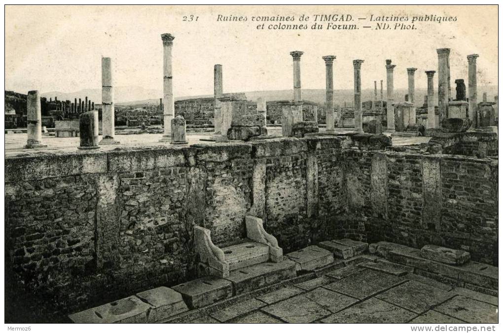 ruines romaines de timgad latrines publiques et colonnes du forum 231 ND phot