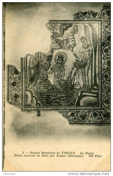 ruines romaines de timgad musee diane surprise au bain par acteon mosaique 3 ND phot