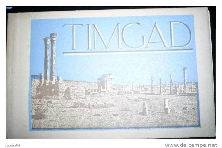C. Postale  ALGERIE - TIMGAD - RUINES ROMAINES - ALBUM DE 20 CARTES