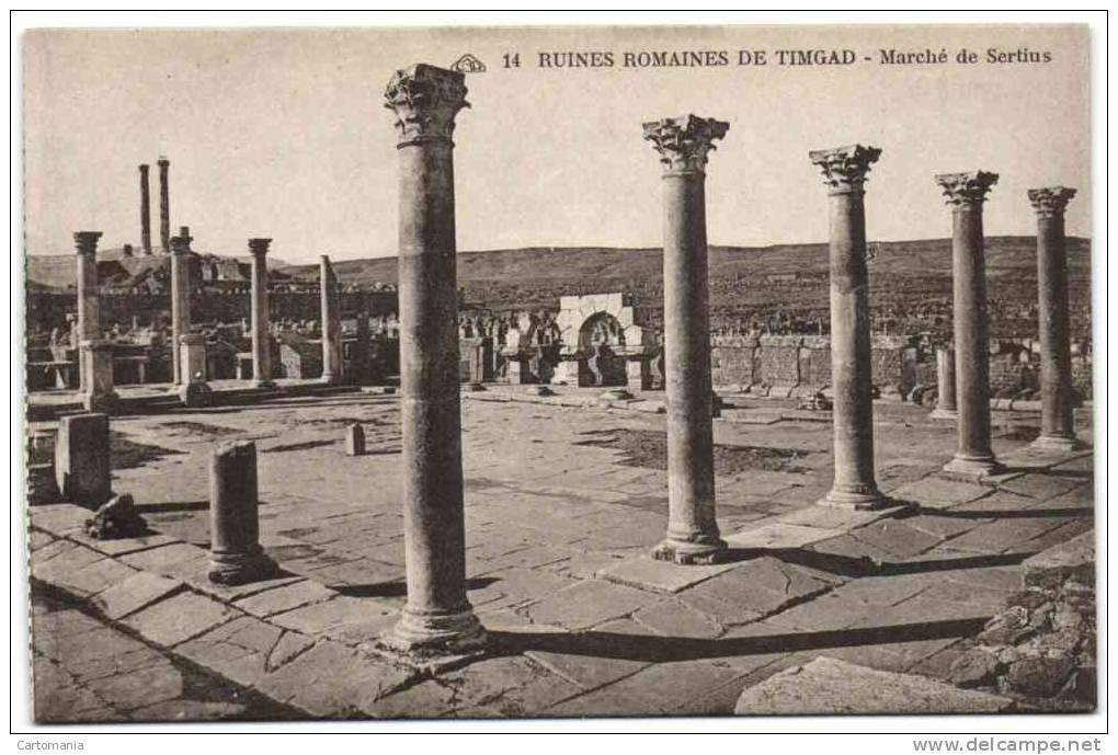 Ruines Romaines de Timgad - Marché de Sertius