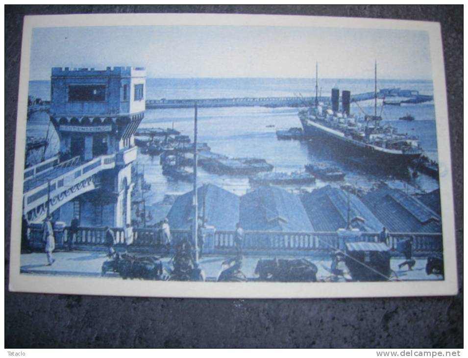 Alger Le TImgad courrier de France