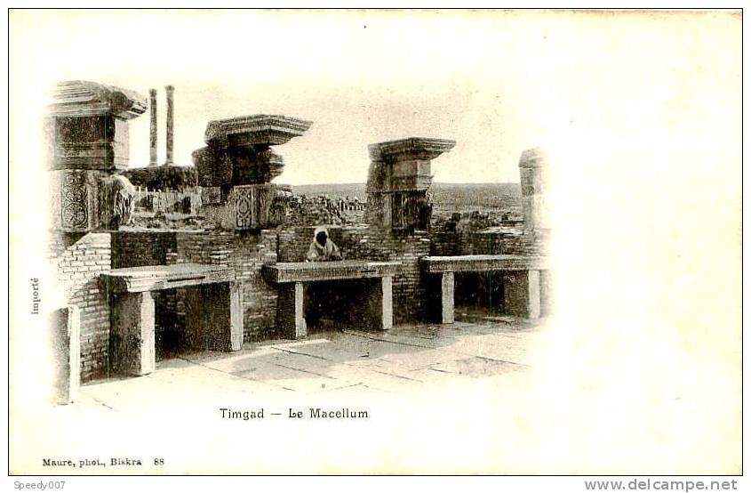 Belle CPA  -  Timgad.La Macellum. E 649