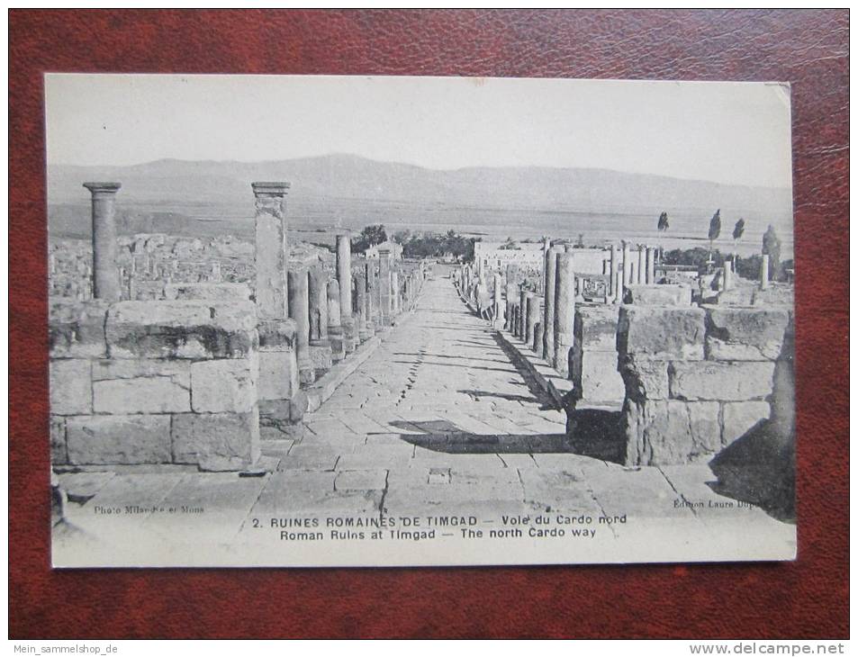 Timgad Ruines Romaines Vole du Cardo The north Cardo way Algerien CPA AK