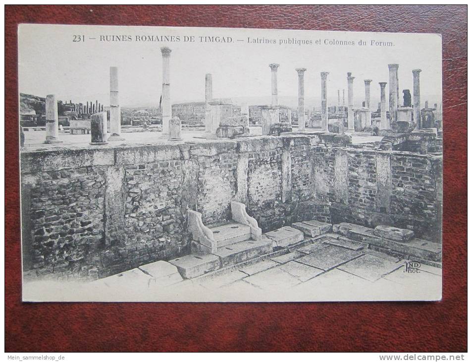 Timgad Ruines Romaines Latrines publiques e Colonnes du Forum Algerien CPA AK