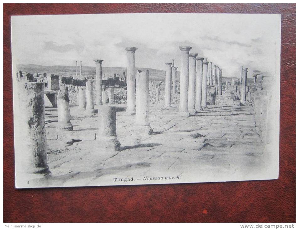 Timgad Nouveau marche Algerien CPA AK