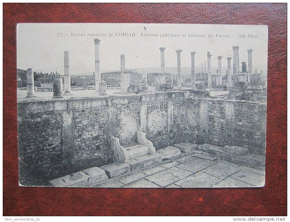 Timgad Ruines romaines Latrines publiques et colonnes du Forum CPA AK