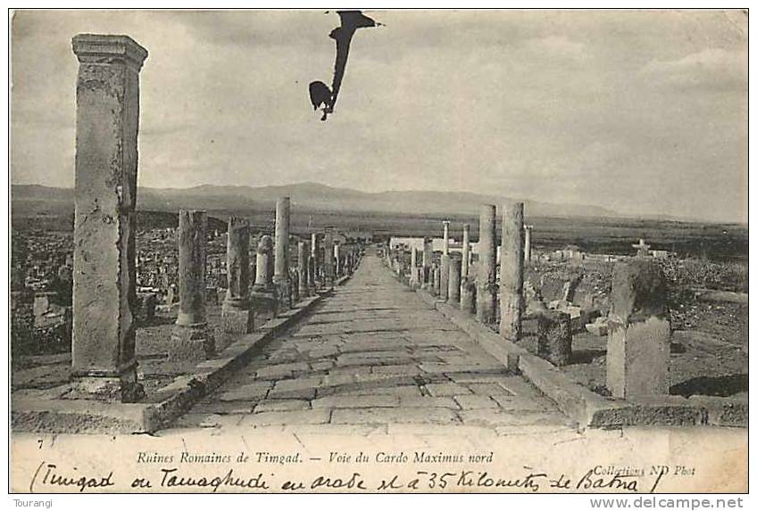 Fev13 276  Timgad  -  Ruines Romaines  -  Voie du Cardo Maximus nord