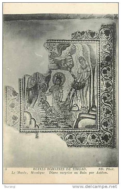 Fev13 275  Timgad  -  Ruines Romaines  -  Musée  -  Mosaïque