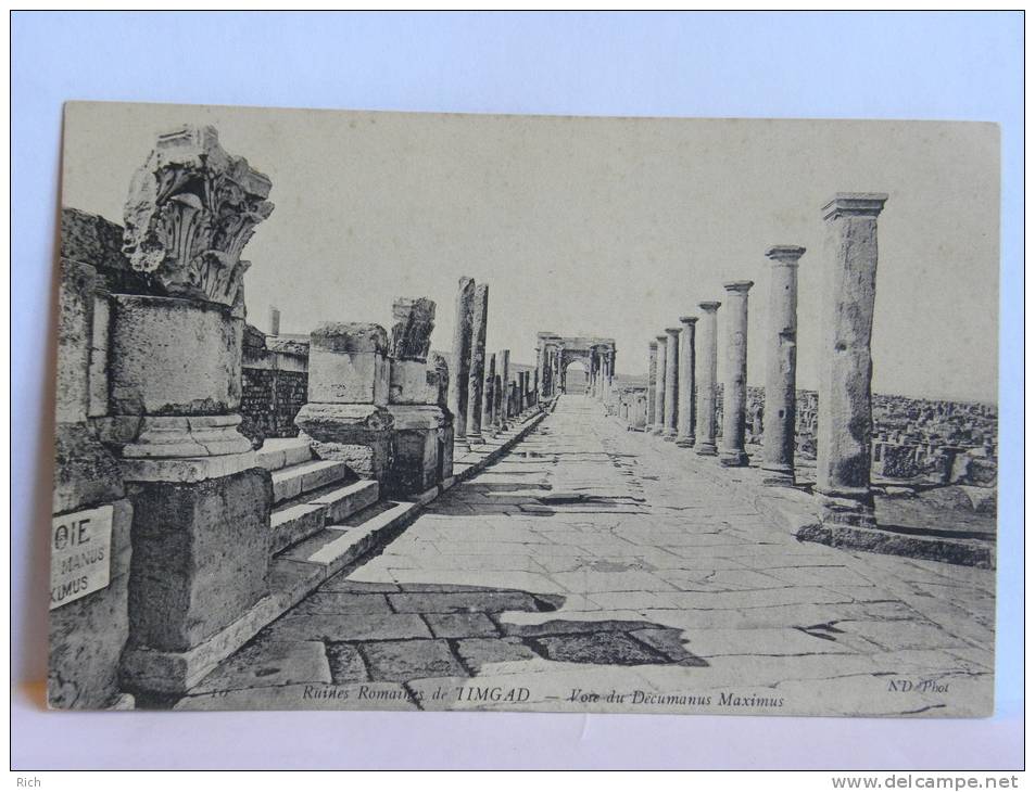 CPA Algérie - Ruines Romaines de Timgad - Voie du Décumanus Maximus