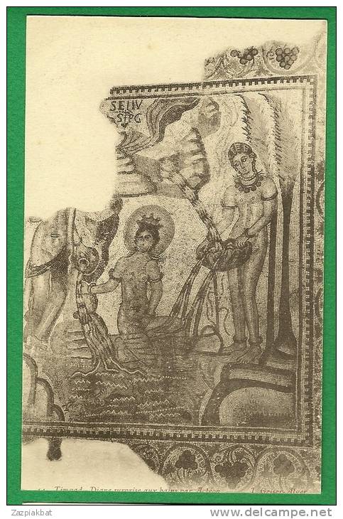 Lot de 4 cpa  ALGERIE  - Timgad  Fresques antiques  - Diane surprise ** - Lycurgue frappant ****** .........LMC19