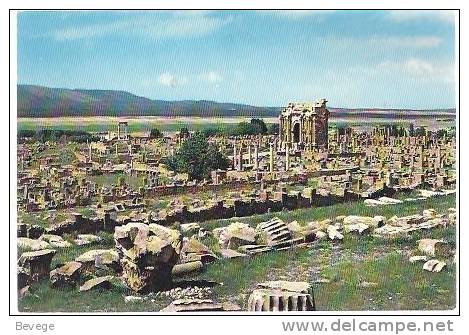 34-611 // ALGERIA -  TIMGAD -  ROMAN RUINS  1973
