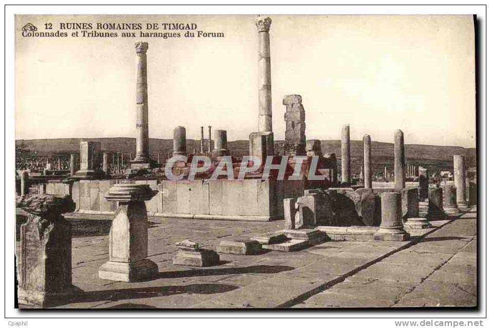 CPA Ruines Romaines De Timgad Colonnades et Tribunes aux Harengu