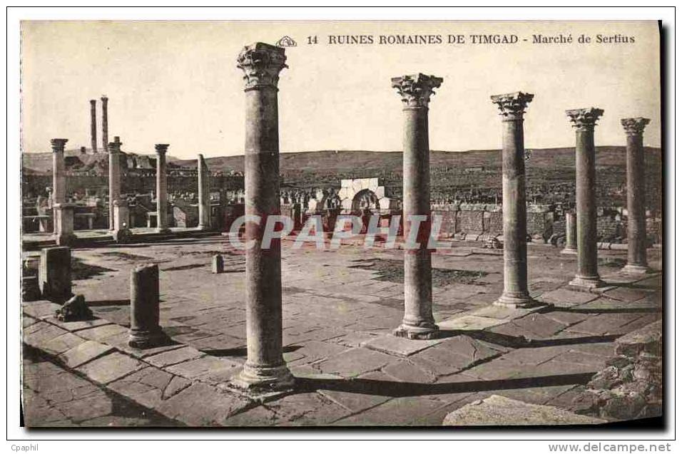 CPA Ruines Romaines De Timgad Marche de Sertius
