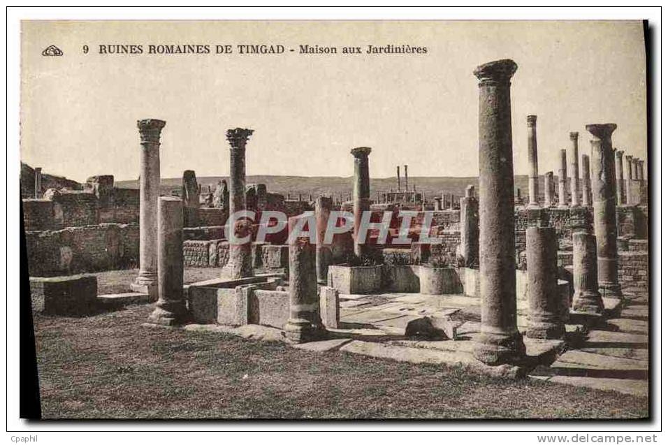 CPA Ruines Romaines De Timgad Maison aux Jardinieres