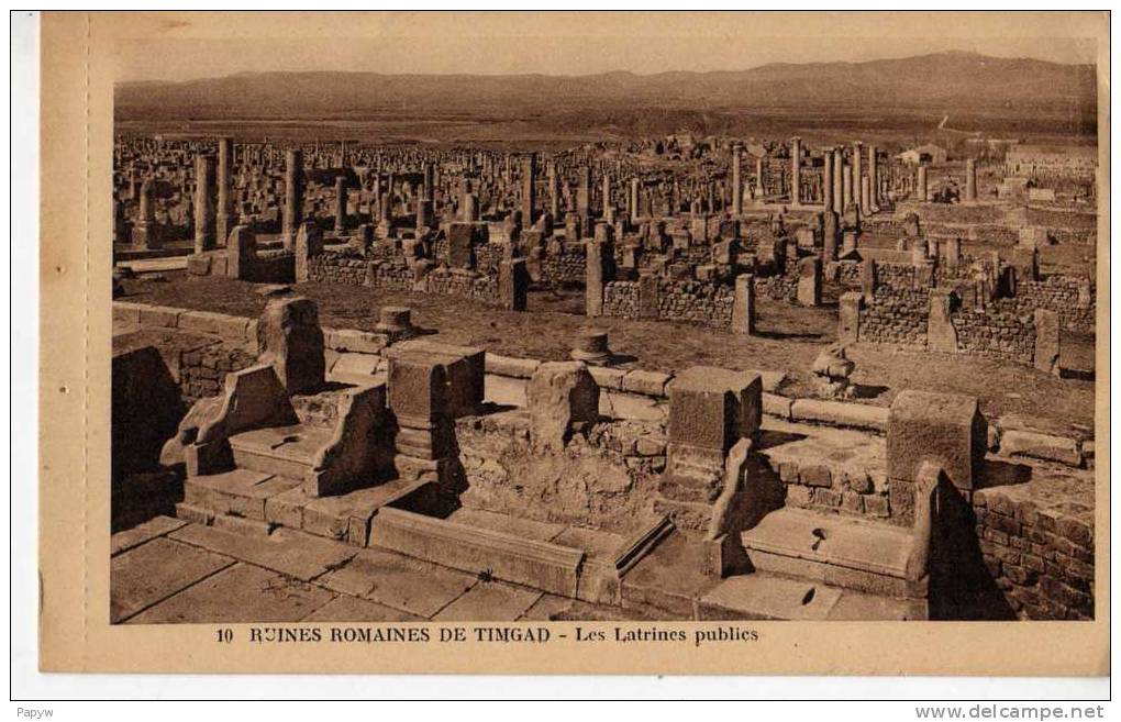 ruines romaines de timgad les latrines publics