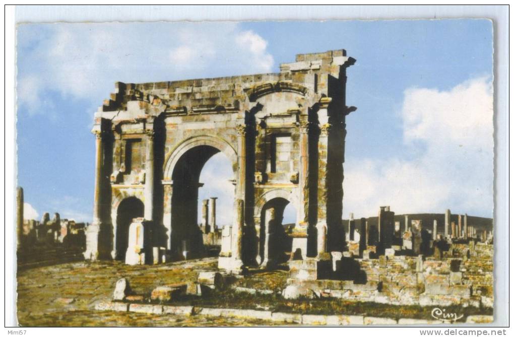 C.P.M. Constantine - Timgad -  Envoi de SP en AFN