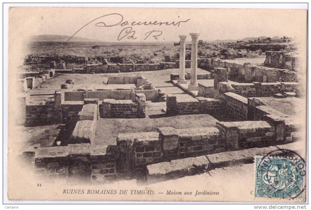 TIMGAD Ruines romaines Maison aux jardiniéres