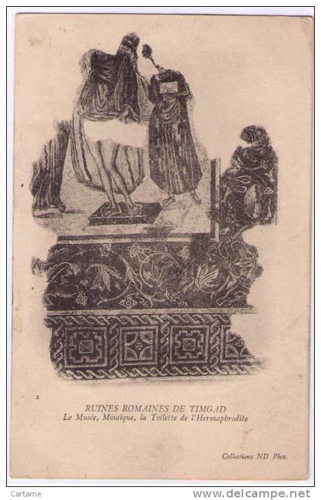 TIMGAD Ruines romaines Le Musée mosaïque la toilette de l'Hermaphrodite