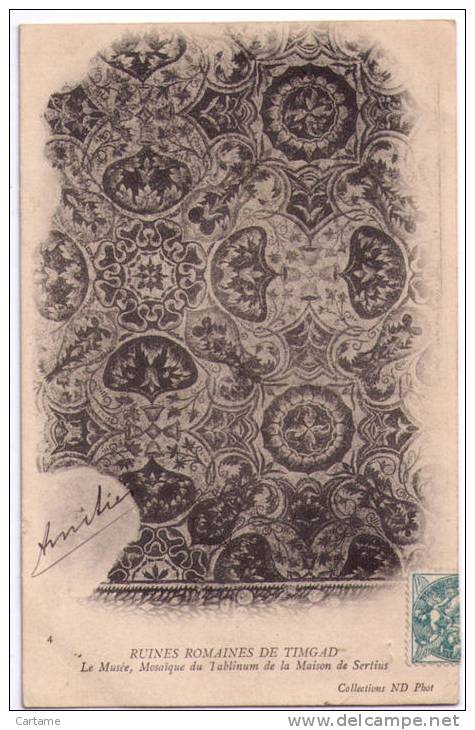 TIMGAD Ruines romaines Le Musée mosaïque du tablium de la maison de Sertius