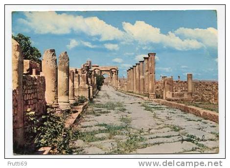 ALGERIA - AK142804 Timgad - Duci Magnus Maximum