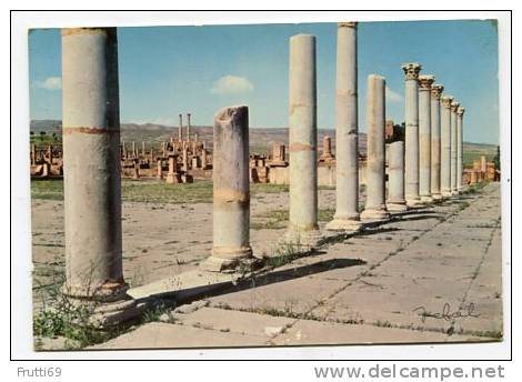 ALGERIA - AK142800 Timgad - Le Forum