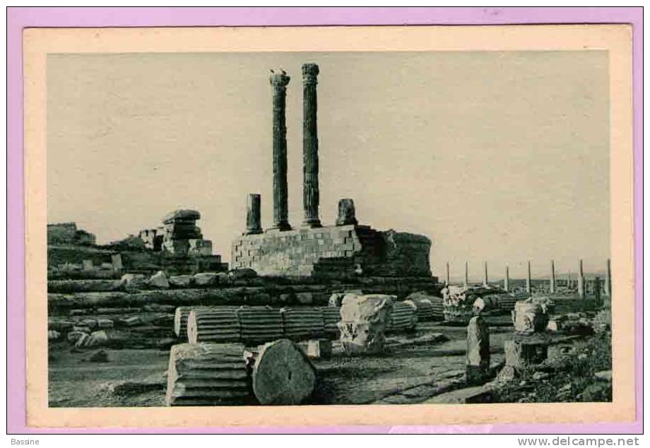 CPA/K43/ALGERIE TIMGAD TEMPLE DE JUPITER
