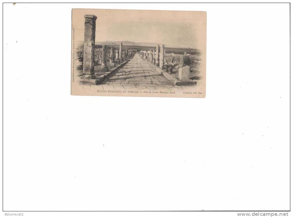 TUNISIE Ruines romaines de Timgad Voie du Cardo nord. - Éditeur / NEURDEIN PHOT  Numéro 7 -DOS ARRIÈRE / SANS  ÉCRITUR