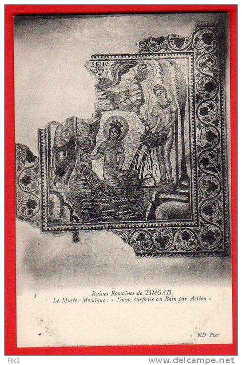 CPA Algérie - Timgad - Ruines romaines de Timgad - Mosaique - 