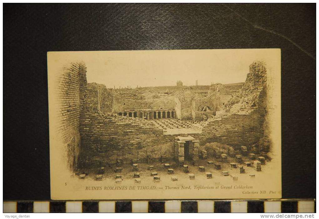 CP, algérie, ruines romaines de timgad thermes nord tepidarium et grand caldarium n°5 ND phot dos simple précurseur