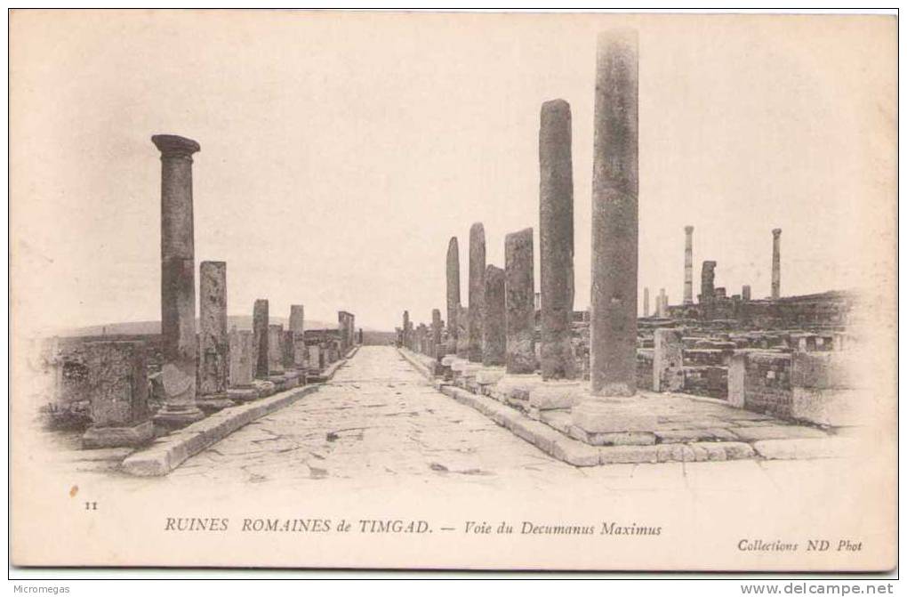 Algérie - Ruines Romaines de TIMGAD - Voie du Cardo Maximus