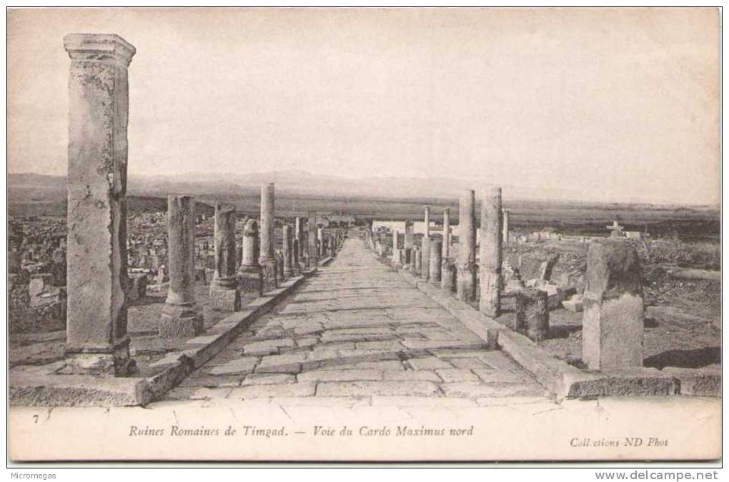 Algérie - Ruines Romaines de TIMGAD - Voie du Cardo Maximus nord