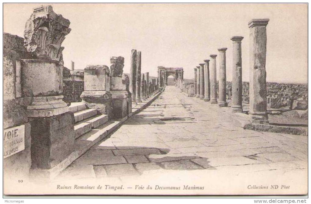 Algérie - Ruines Romaines de TIMGAD - Voie du Decumanus Maximus