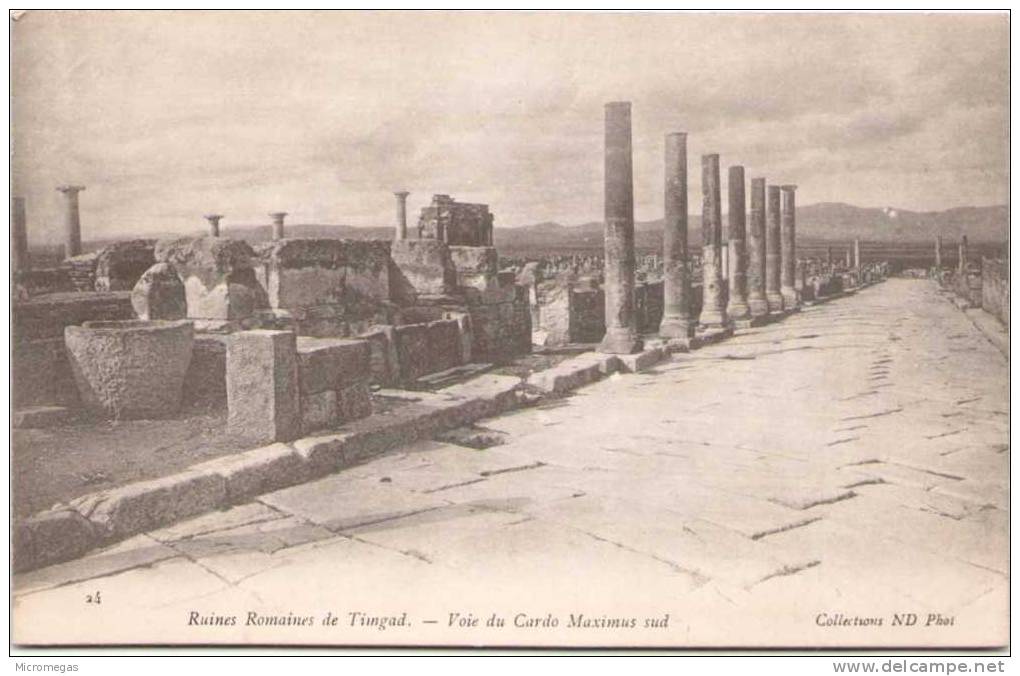 Algérie - Ruines Romaines de TIMGAD - Voie du Cardo Maximus sud